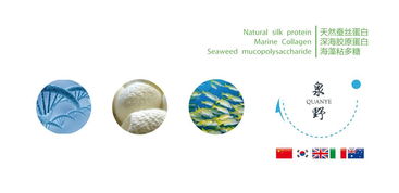 专业广告设计代理代办，助力品牌高效传播